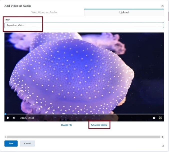 Image showing where to add video title.