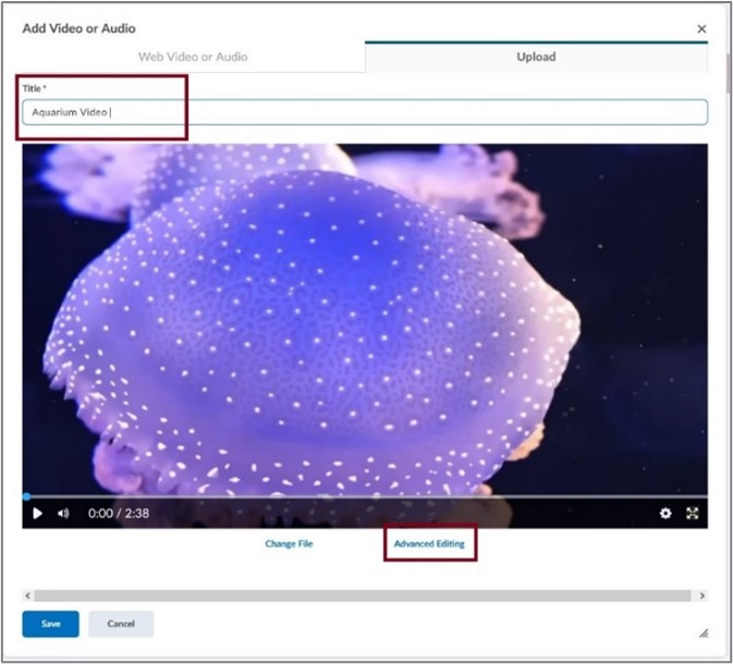 Image showing advanced editing option during upload video or audio