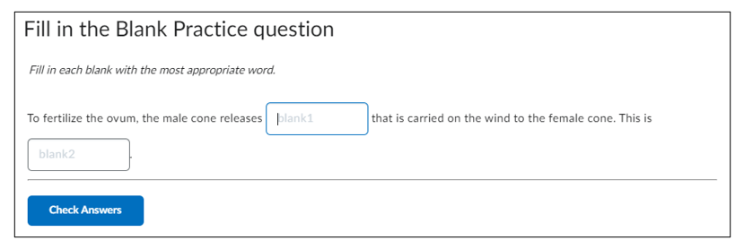 Showing the first preview of this fill in the blank element