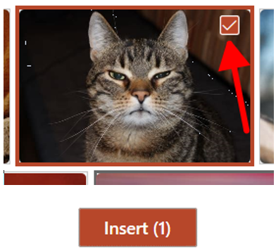 Showing the Insert button to insert a picture.
